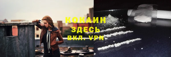 метадон Алексин