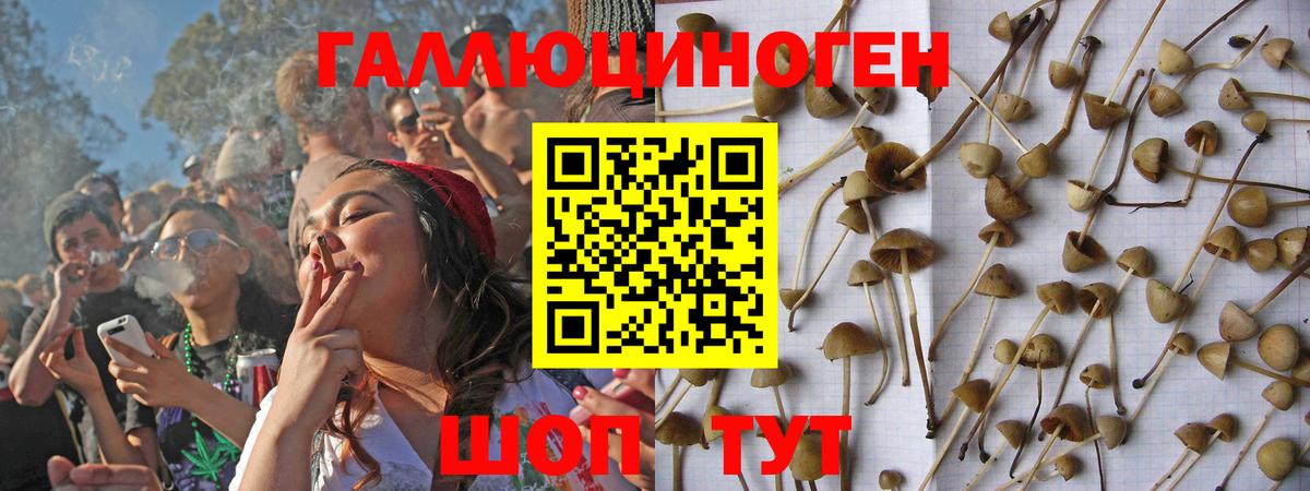 Галлюциногенные грибы Psilocybine cubensis  Вход с VPN  Чистополь 